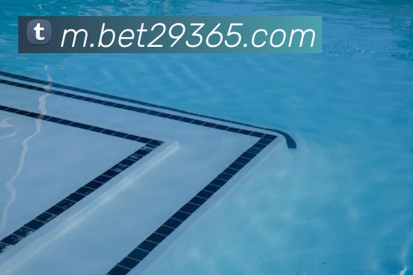 bet365com服务体系